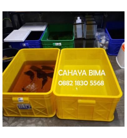 Container Industri Greenleaf 2293 Kontainer Bak Padat - 3