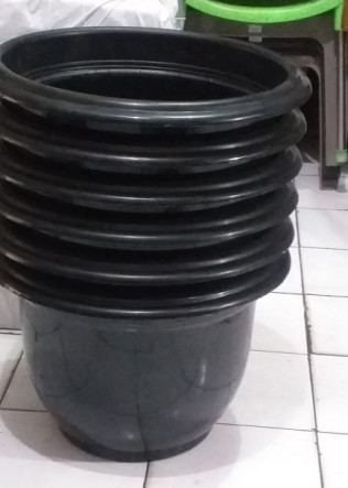 Pot Cempaka no 50 Pot plastik hitam besar - 6
