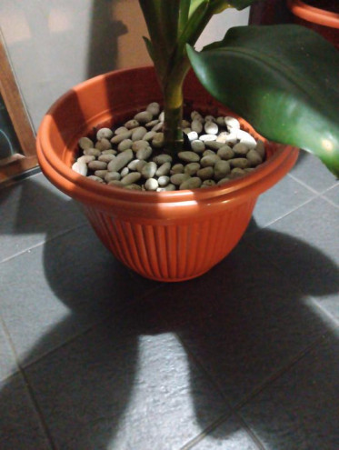 Pot Tanaman Plastik Citra 818 no 45cm – Merah Bata Elegan Indoor Outdoor - 6