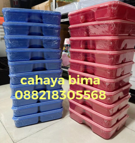 Lunch Box Sekat 5 Figo Owl Kotak Makanan BPA Free Box Catering - 6