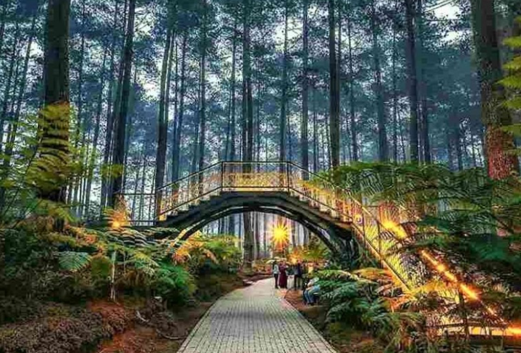 Paket tour lengkap ke Lombok termasuk hotel dan transportasi