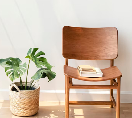 Website Furniture Online Shop Profesional