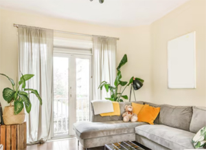 Solusi Pembuatan Website Property Profesiona